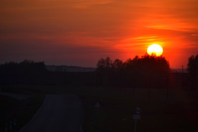 DSC_2445.JPG