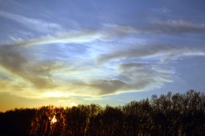 DSC_5491.jpg