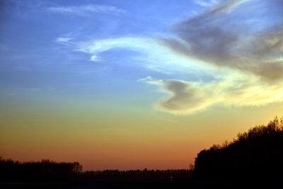 DSC_5510.jpg