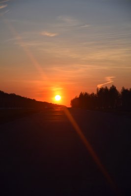 DSC_5664.jpg