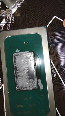 IMG_20230321_113233.jpg
