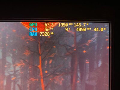 WhatsApp Image 2023-04-05 at 08.18.07.jpeg