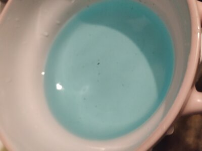 IMG_20230410_214119.jpg