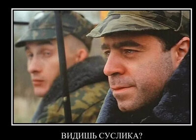 suslik.jpg