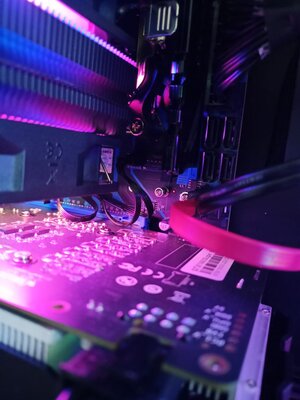 Без имени 2.jpg