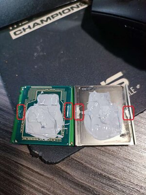delid_1.jpg