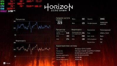 223.jpg