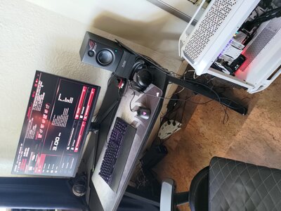 P_20230609_124654.jpg