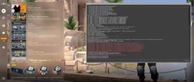 Counter-Strike_ Global Offensive - Direct3D 9 03.07.2023 13_14_51.png