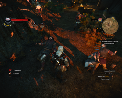 witcher3 2015-05-27 23-03-39.png