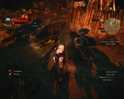 witcher3 2015-05-27 23-03-55.png