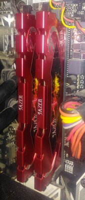 IMG_20230512_minl.jpg