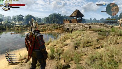 DSR33% witcher.jpg