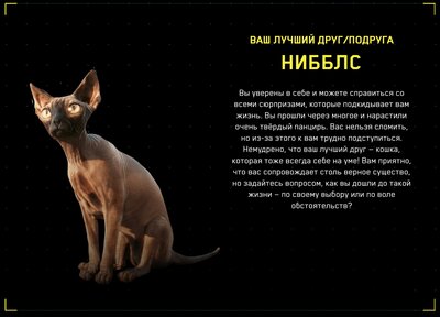 Безымянный.jpg