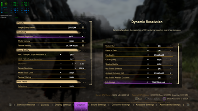 FS custom settings.png