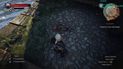 witcher3_2015_06_05_16_35_57_229.jpg