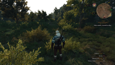 witcher3 2015-06-07 23-41-36.png