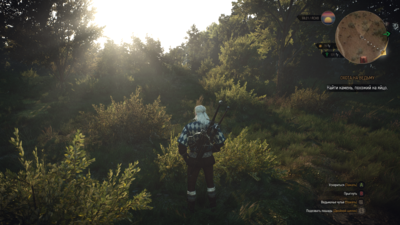 witcher3 2015-06-07 23-42-02.png