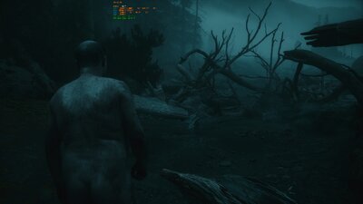 AlanWake2_2023_10_27_18_12_46_569.jpg
