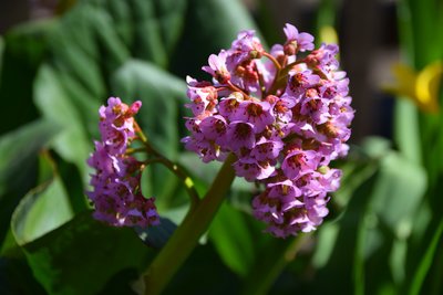 DSC_3435.JPG