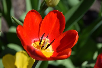 DSC_3437.JPG
