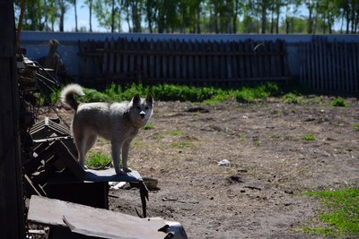 DSC_3493.JPG