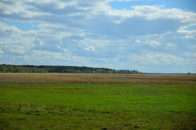 DSC_3659.JPG
