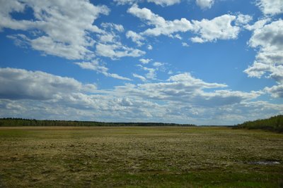 DSC_3680.JPG