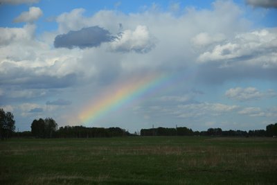 DSC_4131.JPG