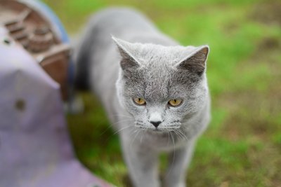 DSC_4456.JPG