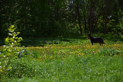 DSC_4864.JPG