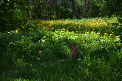 DSC_4882.JPG
