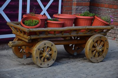 DSC_5644.JPG