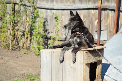 DSC_6113.jpg