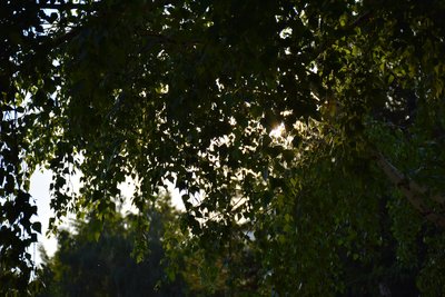 DSC_6547.JPG