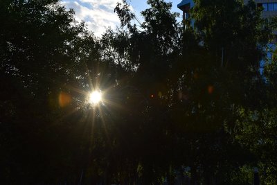 DSC_6628.JPG