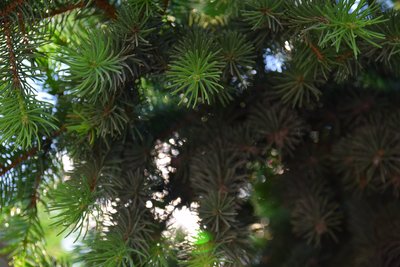 DSC_6871.JPG