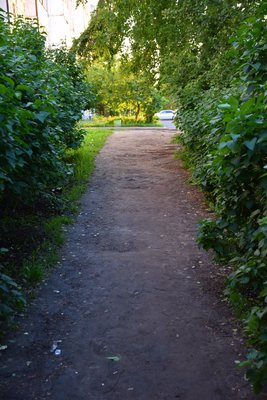 DSC_7077.JPG