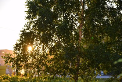 DSC_7121.JPG