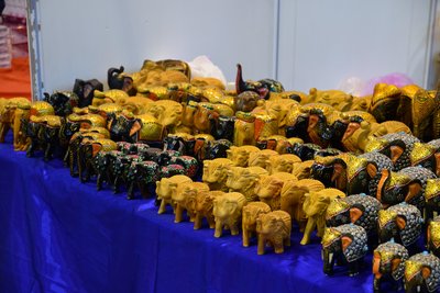 DSC_6722.JPG