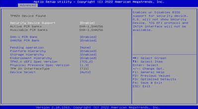 tpm_bios.png