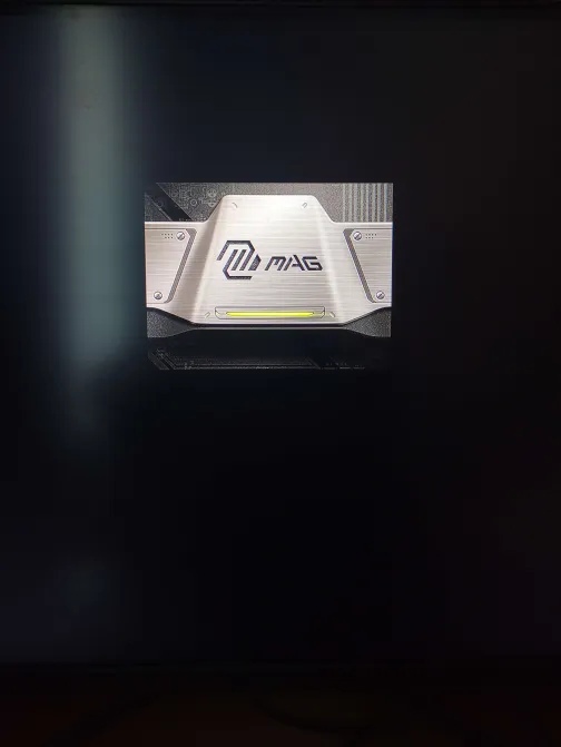 зависло лого биоса.jpg