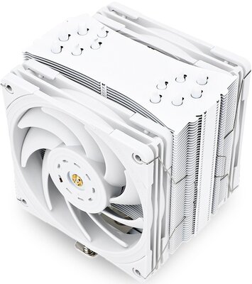 995231.jpg