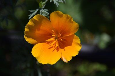 DSC_0149.JPG