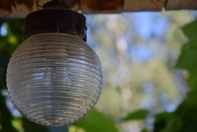 DSC_0280.JPG