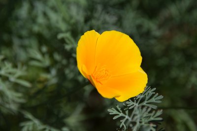 DSC_0543.JPG