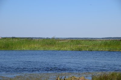 DSC_0639.JPG