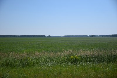 DSC_8817.JPG