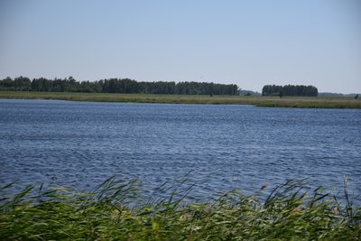 DSC_8862.JPG