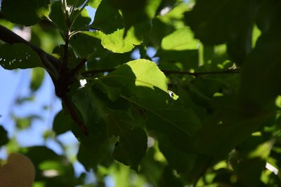 DSC_9090.JPG